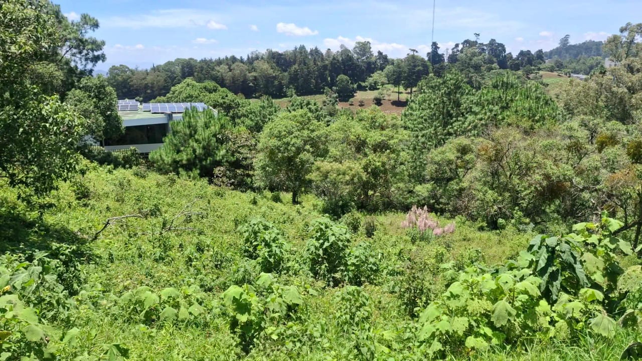 El Pulte Ecuestre Terreno Semi Plano en Venta Zona 16 — Terreno en Venta en Zona 16, Guatemala, Ciudad — foto 3 de 7