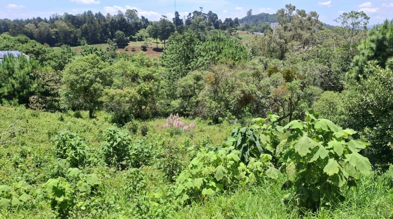 El Pulte Ecuestre Terreno Semi Plano en Venta Zona 16 — Terreno en Venta en Zona 16, Guatemala, Ciudad — foto 4 de 7