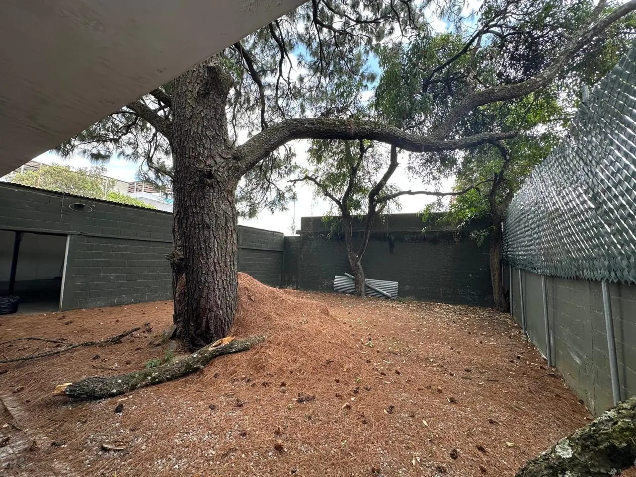 2 Casas en venta en zona 13 — Casa en Venta en Zona 13, Guatemala, Ciudad — foto 10 de 14