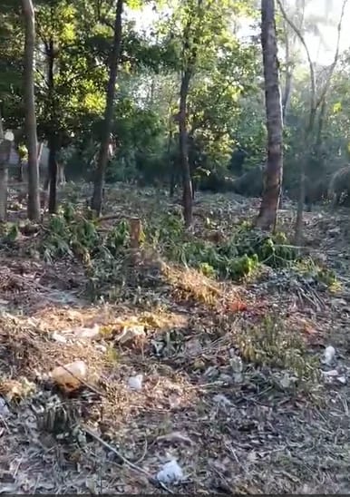 Terreno en Escuintla — Terreno en Venta en Escuintla, Escuintla — foto 3 de 7