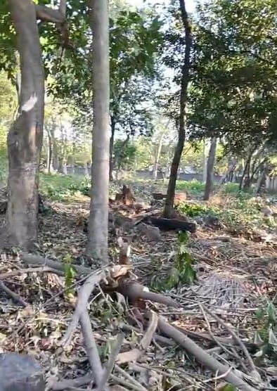 Terreno en Escuintla — Terreno en Venta en Escuintla, Escuintla — foto 6 de 7