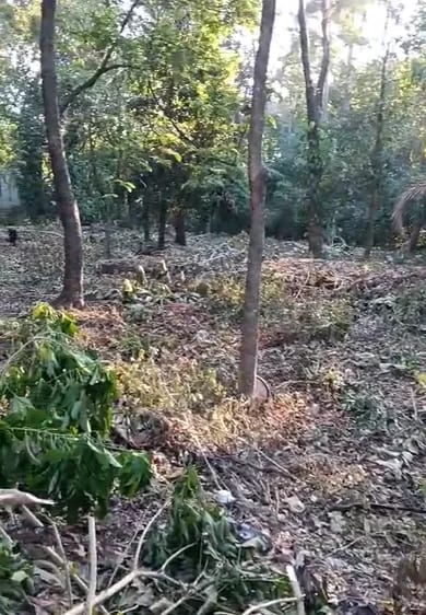Terreno en Escuintla — Terreno en Venta en Escuintla, Escuintla — foto 7 de 7
