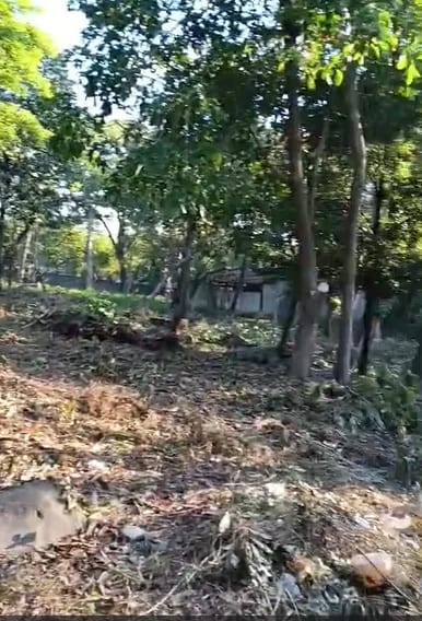 Terreno en Escuintla — Terreno en Venta en Escuintla, Escuintla — foto 4 de 7
