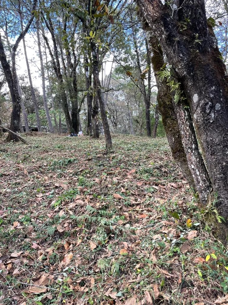 Terreno en el Encinal, zona 7 de Mixco — Terreno en Venta en Zona 7 Mixco, Guatemala, Ciudad — foto 2 de 7