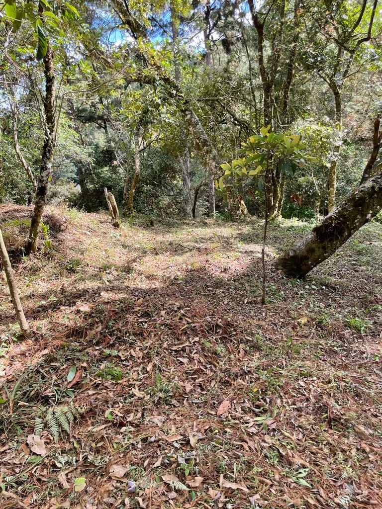 Terreno en el Encinal, zona 7 de Mixco — Terreno en Venta en Zona 7 Mixco, Guatemala, Ciudad — foto 3 de 7