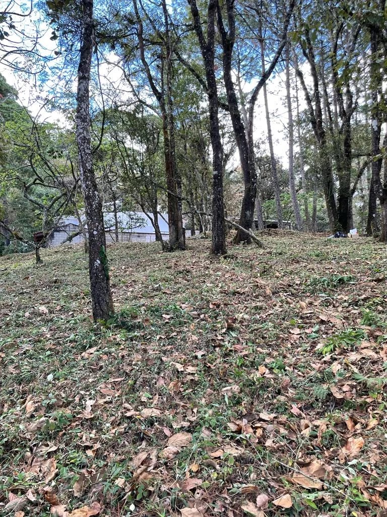 Terreno en el Encinal, zona 7 de Mixco — Terreno en Venta en Zona 7 Mixco, Guatemala, Ciudad — foto 4 de 7