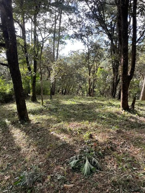 Terreno en el Encinal, zona 7 de Mixco — Terreno en Venta en Zona 7 Mixco, Guatemala, Ciudad — foto 1 de 7