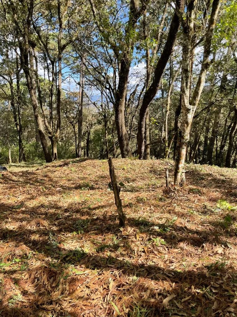 Terreno en el Encinal, zona 7 de Mixco — Terreno en Venta en Zona 7 Mixco, Guatemala, Ciudad — foto 5 de 7