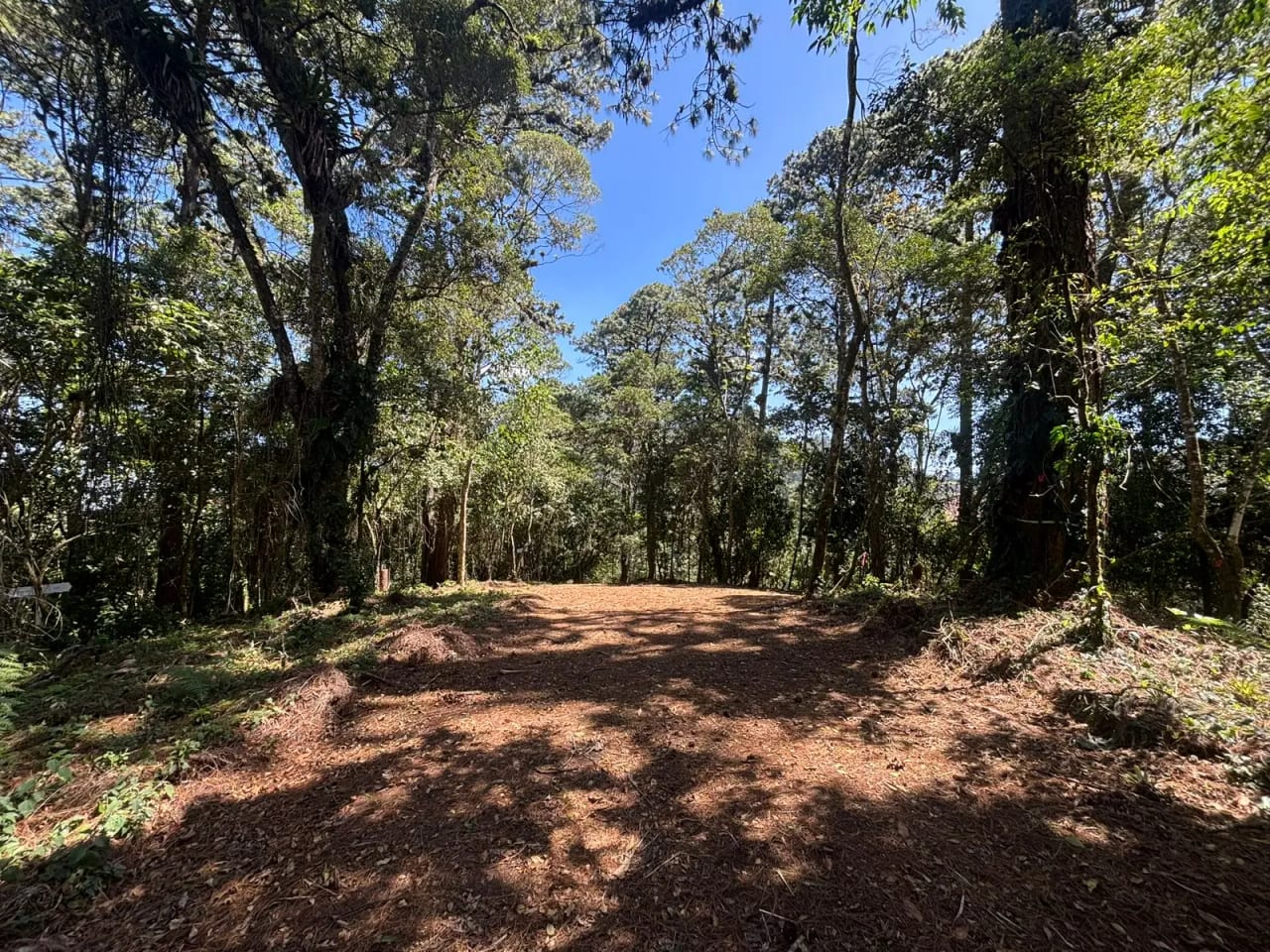 Terrenos en Zona 16 (Opción 3) — Terreno en Venta en Zona 16, Guatemala, Ciudad — foto 3 de 4