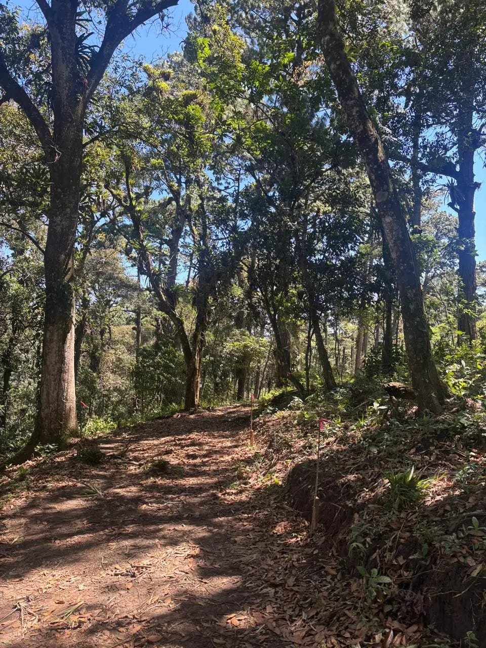 Terreno en Zona 16 (Opción 4) — Terreno en Venta en Zona 16, Guatemala, Ciudad — foto 4 de 7