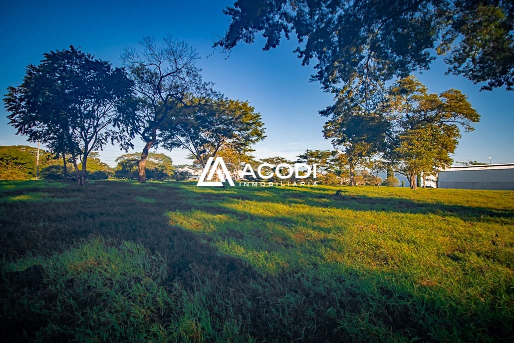 Terreno industrial, km 67 Escuintla — Terreno en Alquiler en Escuintla, Escuintla — foto 4 de 6
