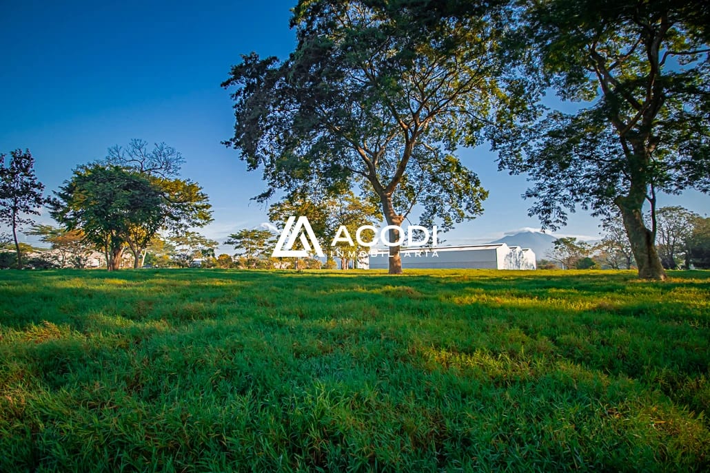 Terreno industrial, km 67 Escuintla — Terreno en Alquiler en Escuintla, Escuintla — foto 6 de 6