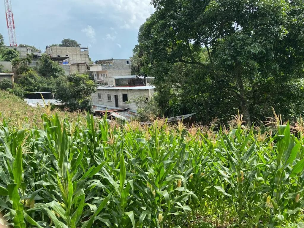 Terreno en Santa Catarina Pinula — Terreno en Alquiler en Santa Catarina Pinula, Guatemala, Ciudad — foto 4 de 6