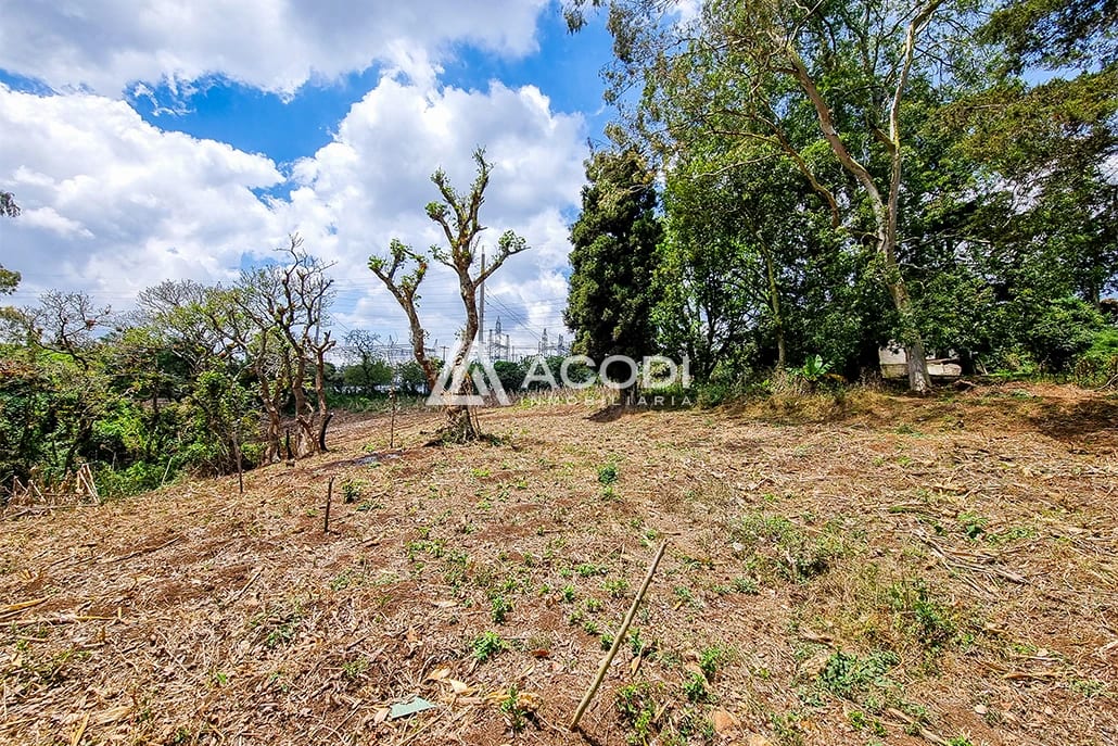 Terreno en Km 17 Carretera a El Salvador — Terreno en Alquiler en Carretera a El Salvador, Guatemala, Ciudad — foto 4 de 10