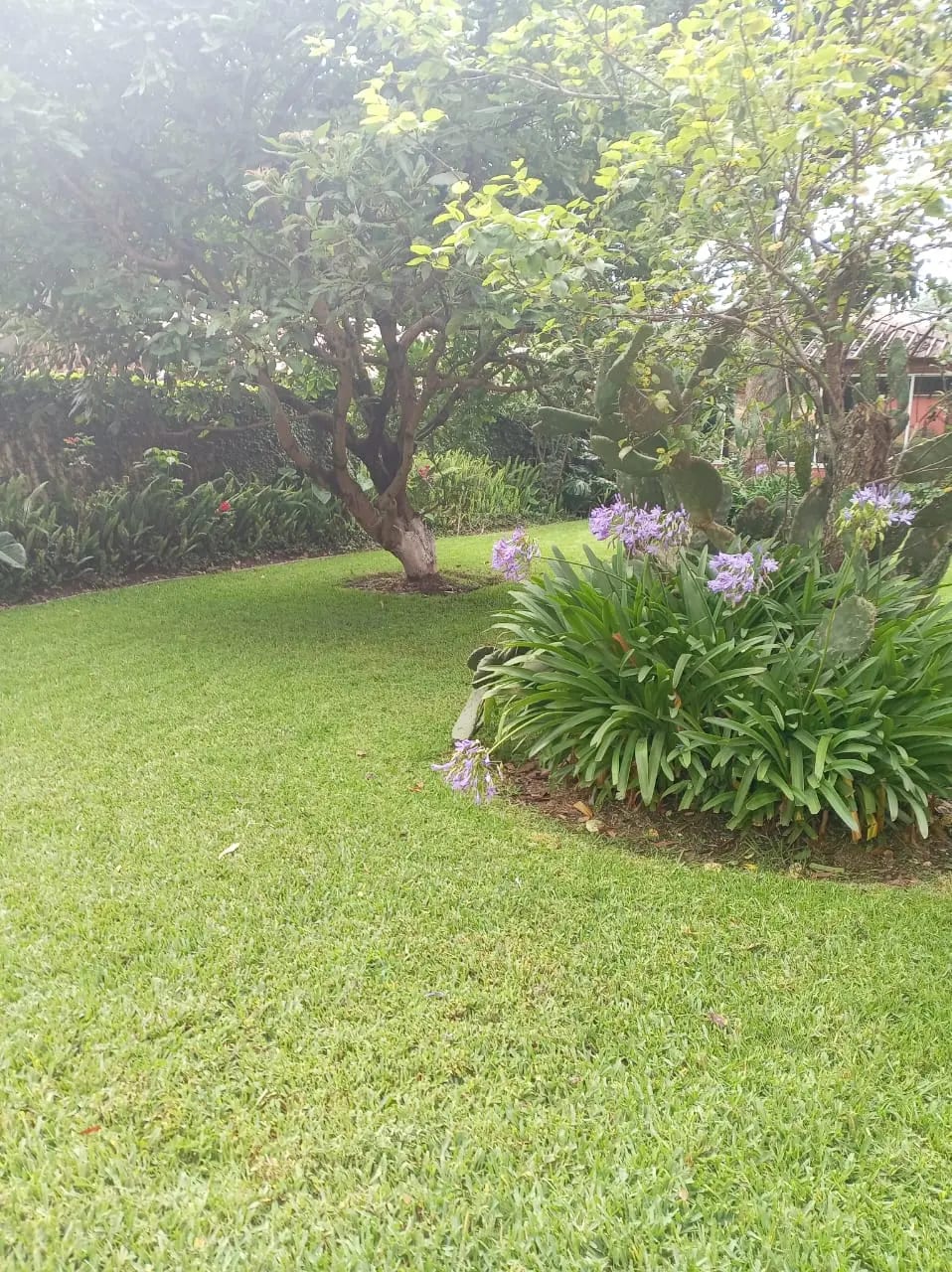 Casa con terreno en San Lucas Sacatepéquez — Casa en Venta en San Lucas Sacatepéquez, Sacatepéquez — foto 10 de 10