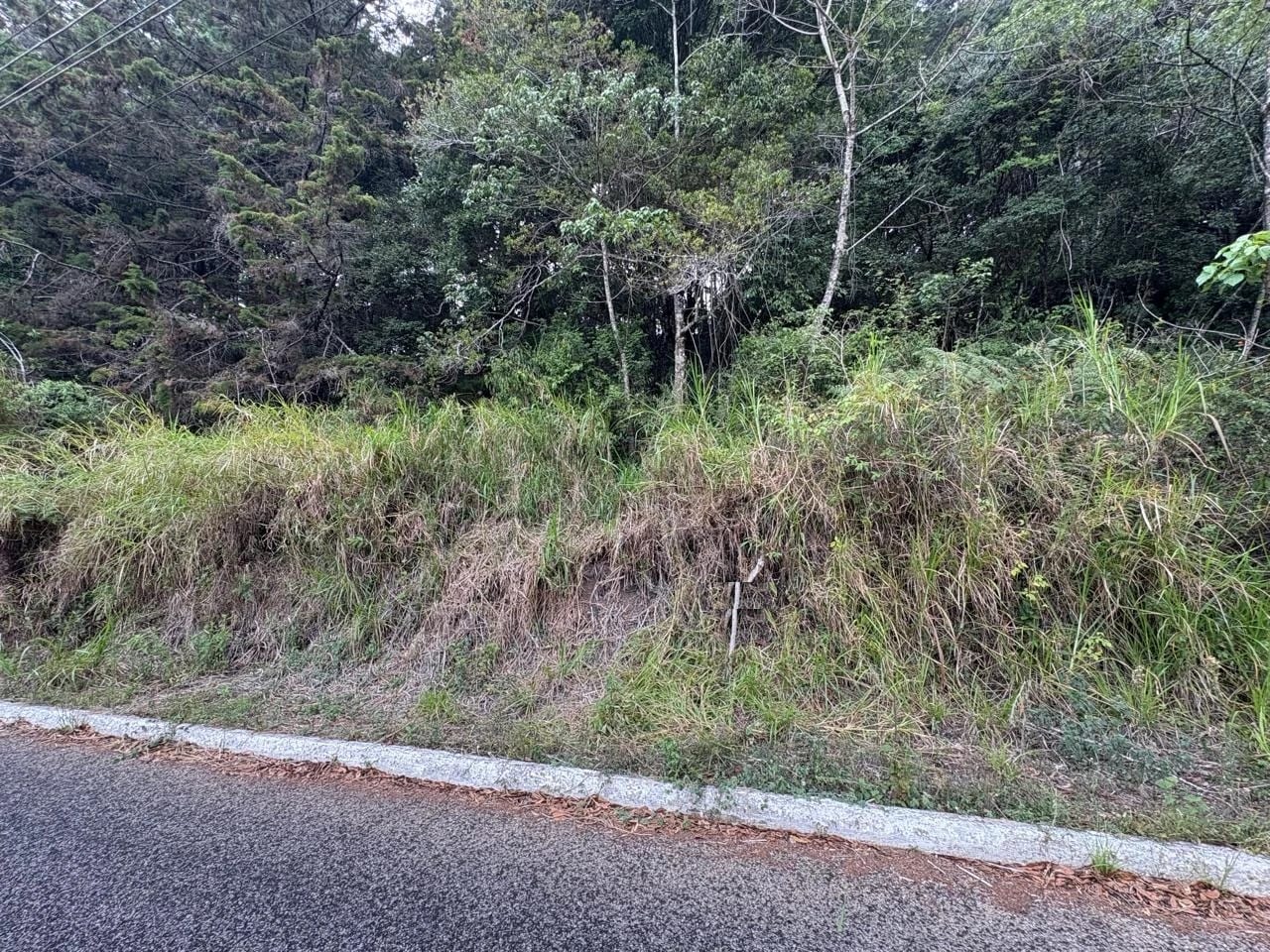 Terreno en Km 16 Carretera a El Salvador — Terreno en Venta en Carretera a El Salvador, Guatemala, Ciudad — foto 3 de 10
