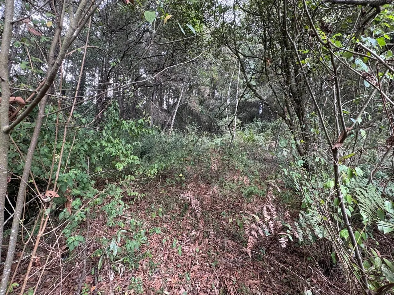 Terreno en Km 16 Carretera a El Salvador — Terreno en Venta en Carretera a El Salvador, Guatemala, Ciudad — foto 6 de 10