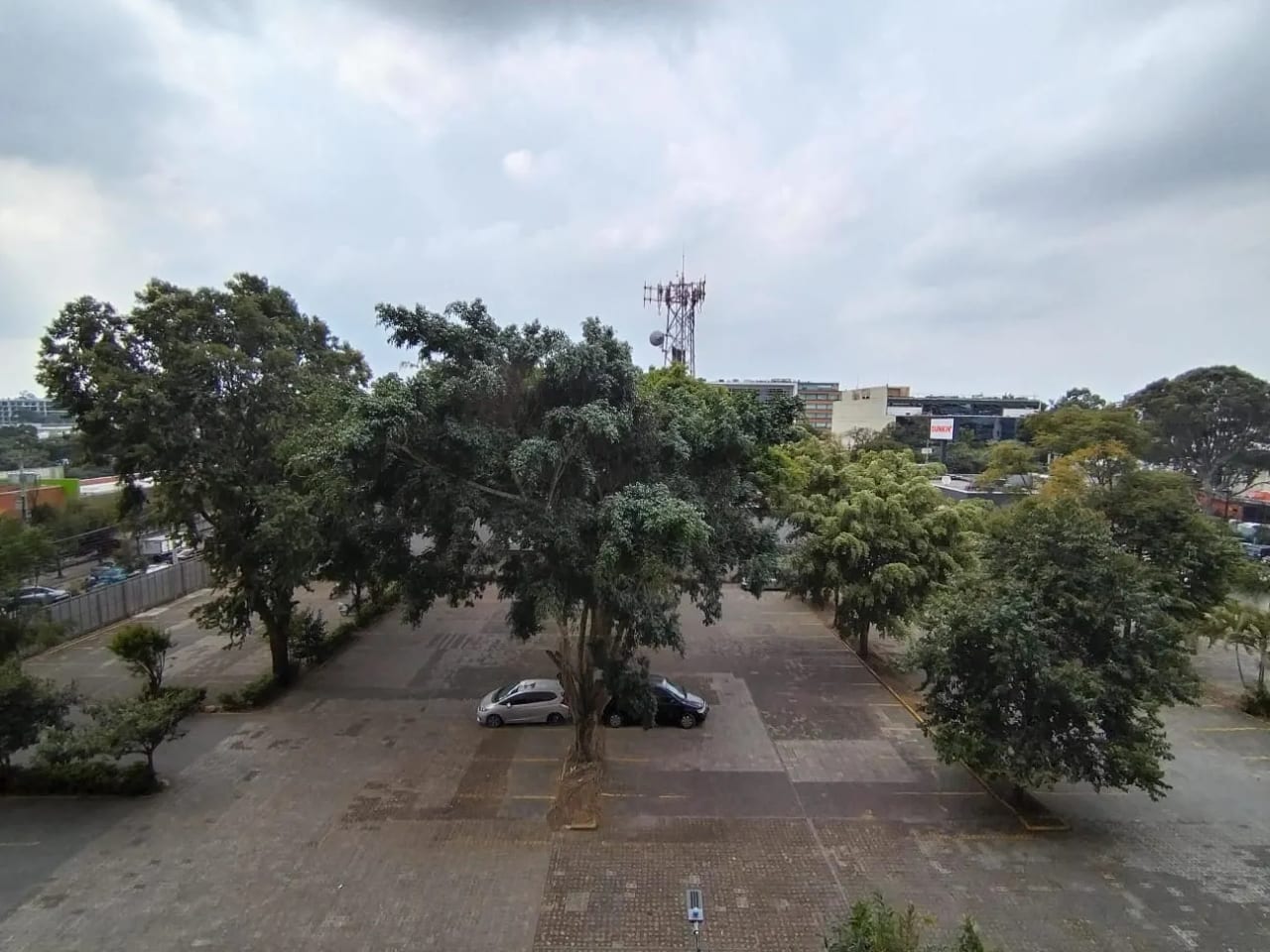 Oficina en Zona 9 — Oficina en Alquiler en Zona 9, Guatemala, Ciudad — foto 6 de 7