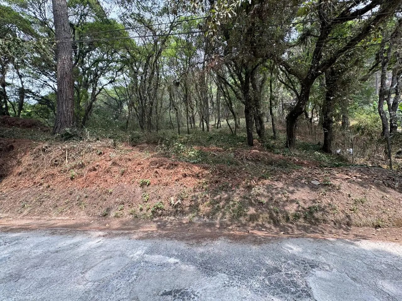 Terreno en El Encinal, Zona 7 de Mixco — Terreno en Venta en Zona 7 Mixco, Guatemala, Ciudad — foto 1 de 1