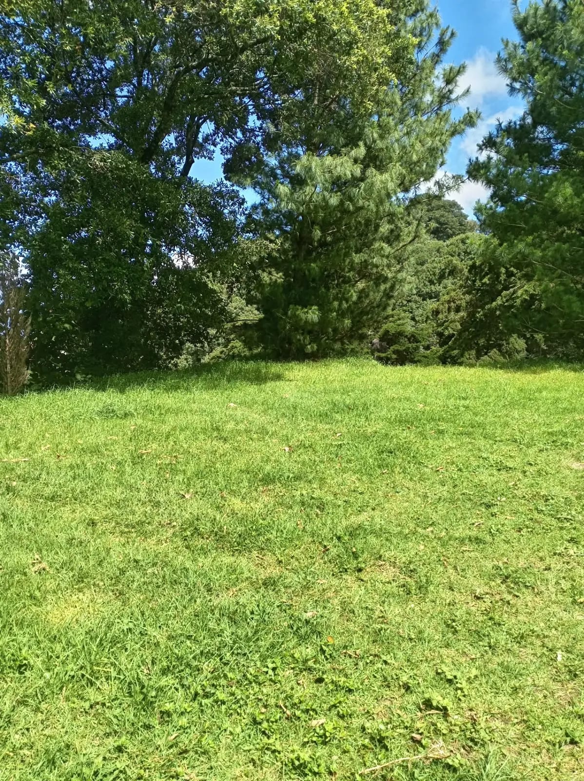 Terreno en San Lucas Sacatepéquez — Terreno en Venta en San Lucas Sacatepéquez, Sacatepéquez — foto 2 de 8