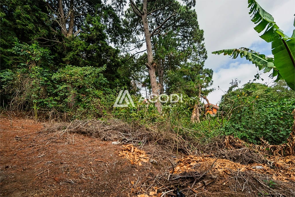 Terreno en Km 16 Carretera a El Salvador — Terreno en Venta en Carretera a El Salvador, Guatemala, Ciudad — foto 3 de 6