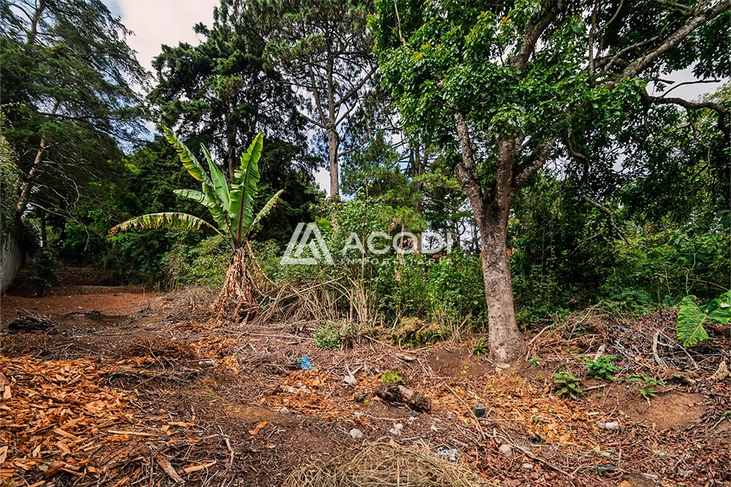 Terreno en Km 16 Carretera a El Salvador — Terreno en Venta en Carretera a El Salvador, Guatemala, Ciudad — foto 4 de 6