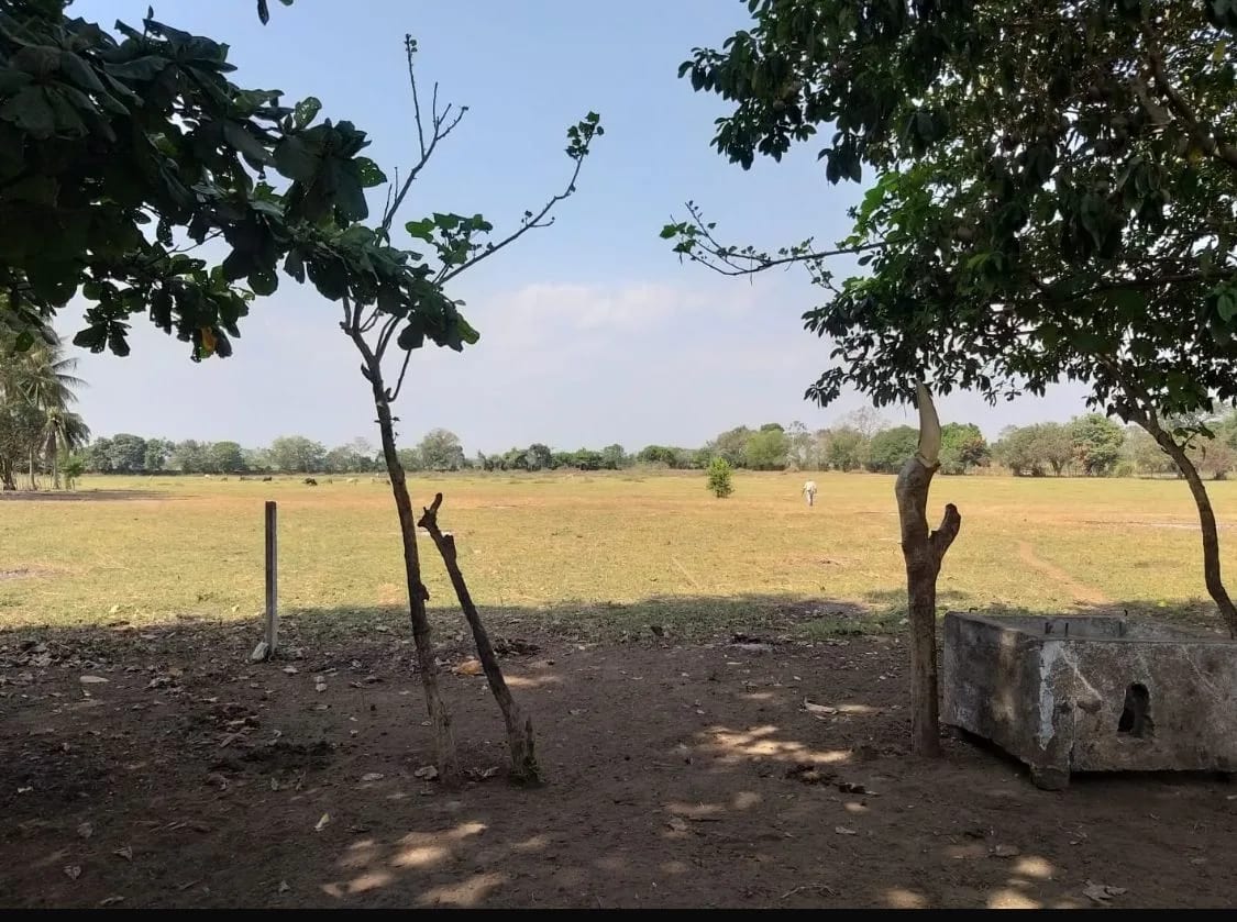 Terreno en Masagua, Escuintla — Terreno en Venta en Masagua, Escuintla — foto 3 de 3