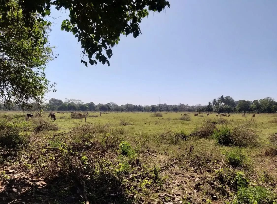 Terreno en Masagua, Escuintla — Terreno en Venta en Masagua, Escuintla — foto 2 de 3