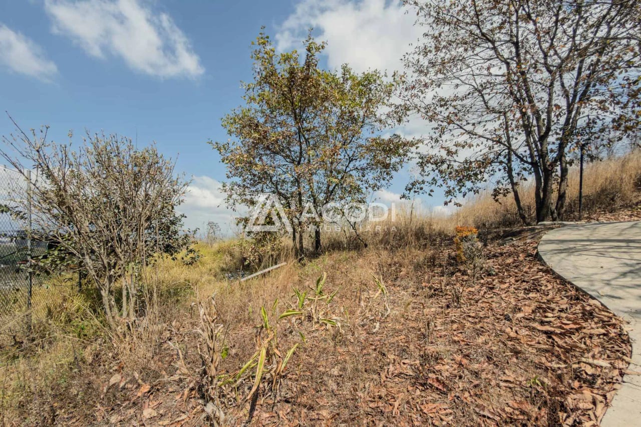 Terreno en Zona 17 — Terreno en Venta en Zona 17, Guatemala, Ciudad — foto 3 de 10