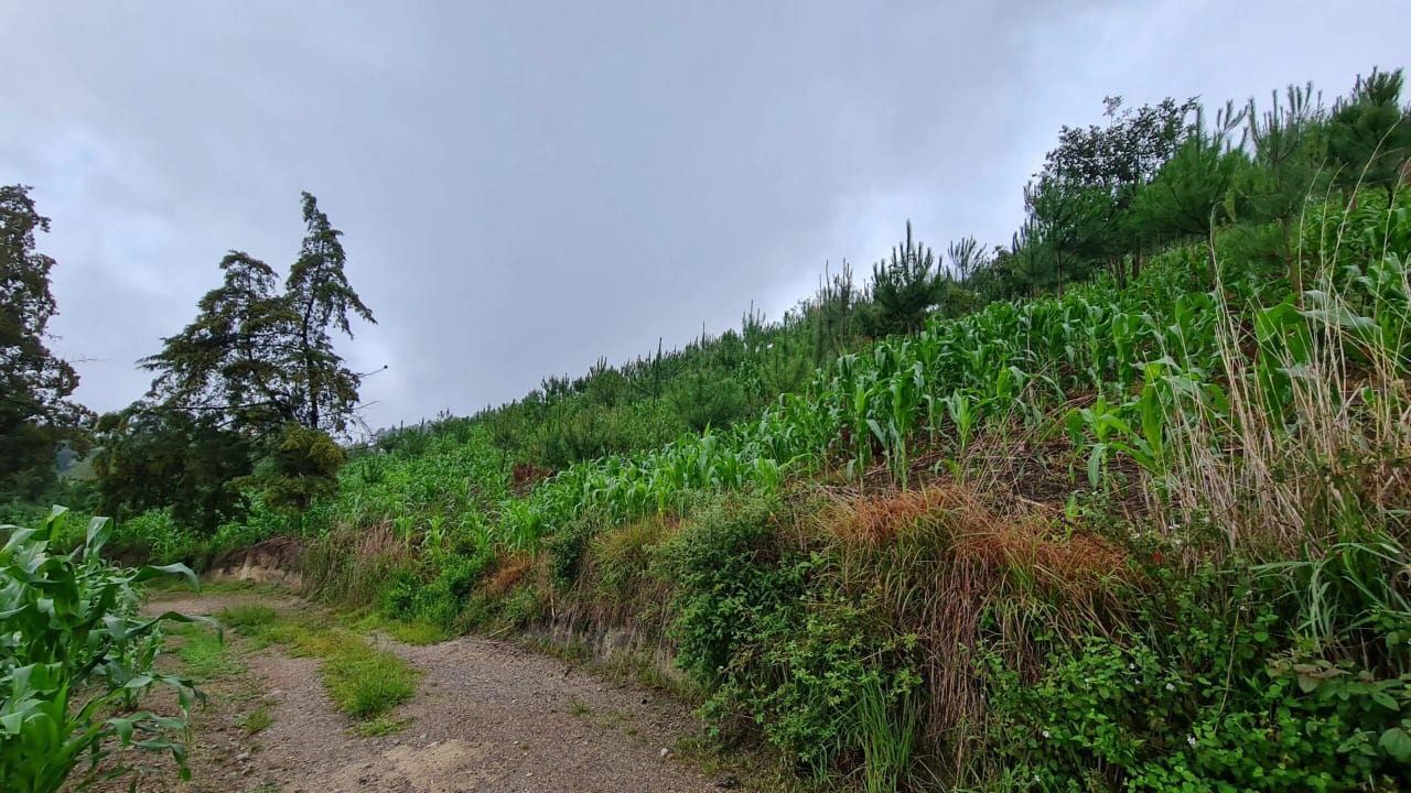 Terreno en Km 17 San Pedro Ayampuc — Terreno en Venta en San Pedro Ayampuc, Guatemala, Ciudad — foto 1 de 8