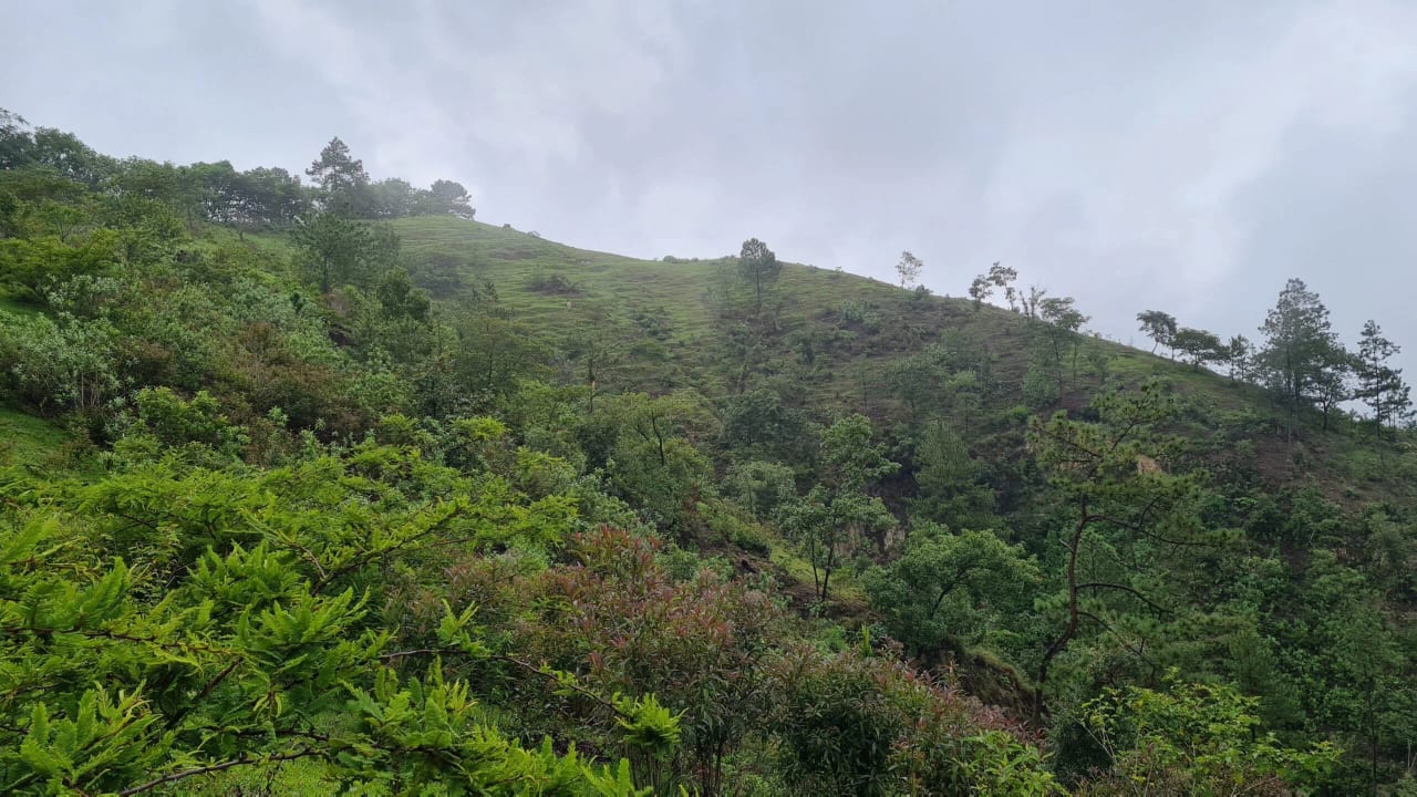 Terreno en Km 17 San Pedro Ayampuc — Terreno en Venta en San Pedro Ayampuc, Guatemala, Ciudad — foto 2 de 8