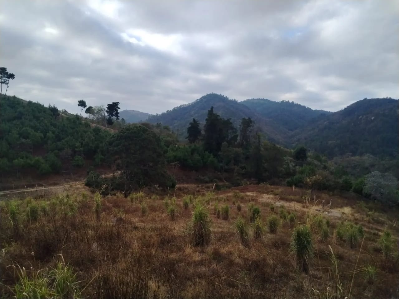Terreno en Km 17 San Pedro Ayampuc — Terreno en Venta en San Pedro Ayampuc, Guatemala, Ciudad — foto 5 de 8