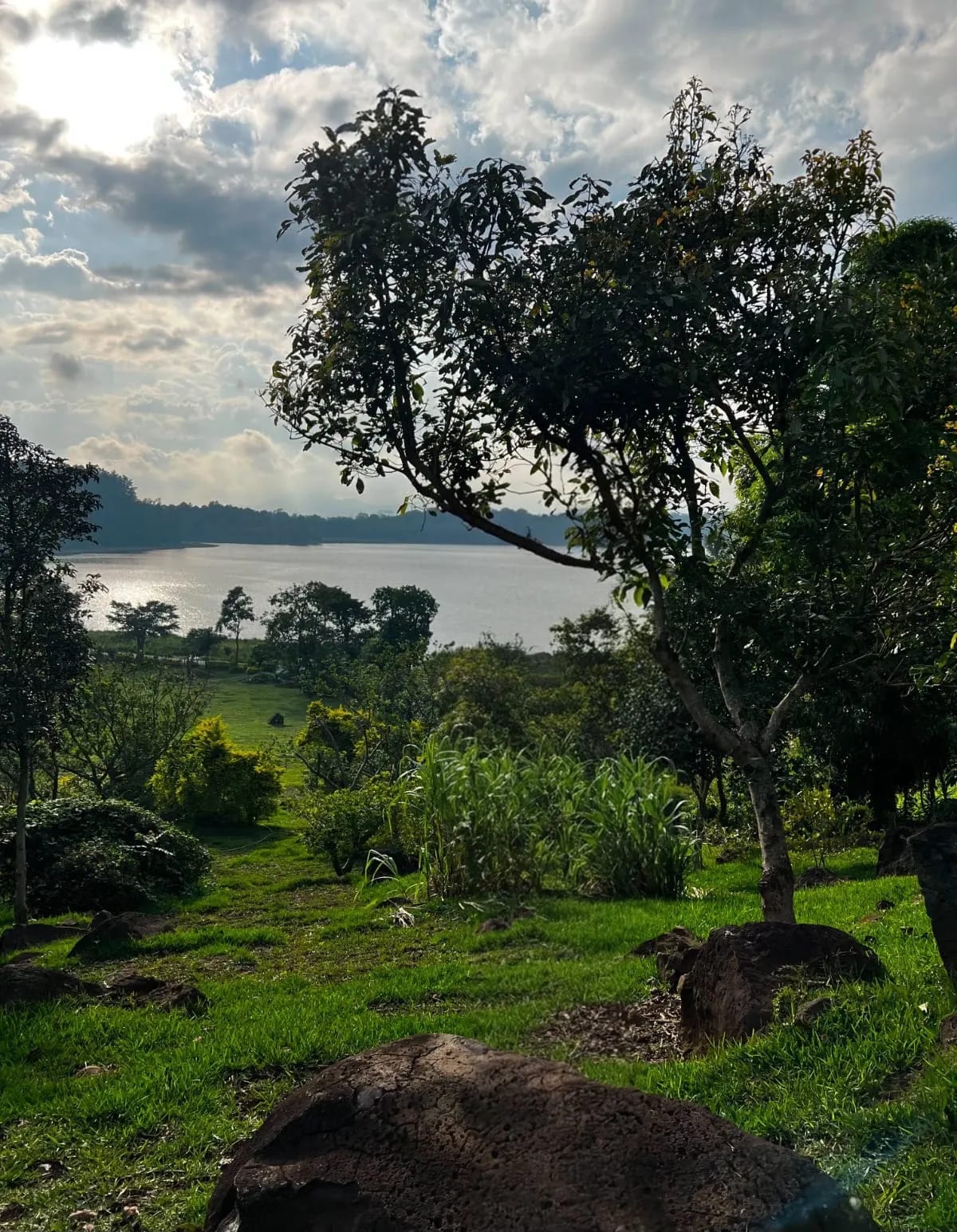 Terreno en Laguna del Pino, Santa Rosa — Terreno en Venta en Barberena, Santa Rosa — foto 4 de 5