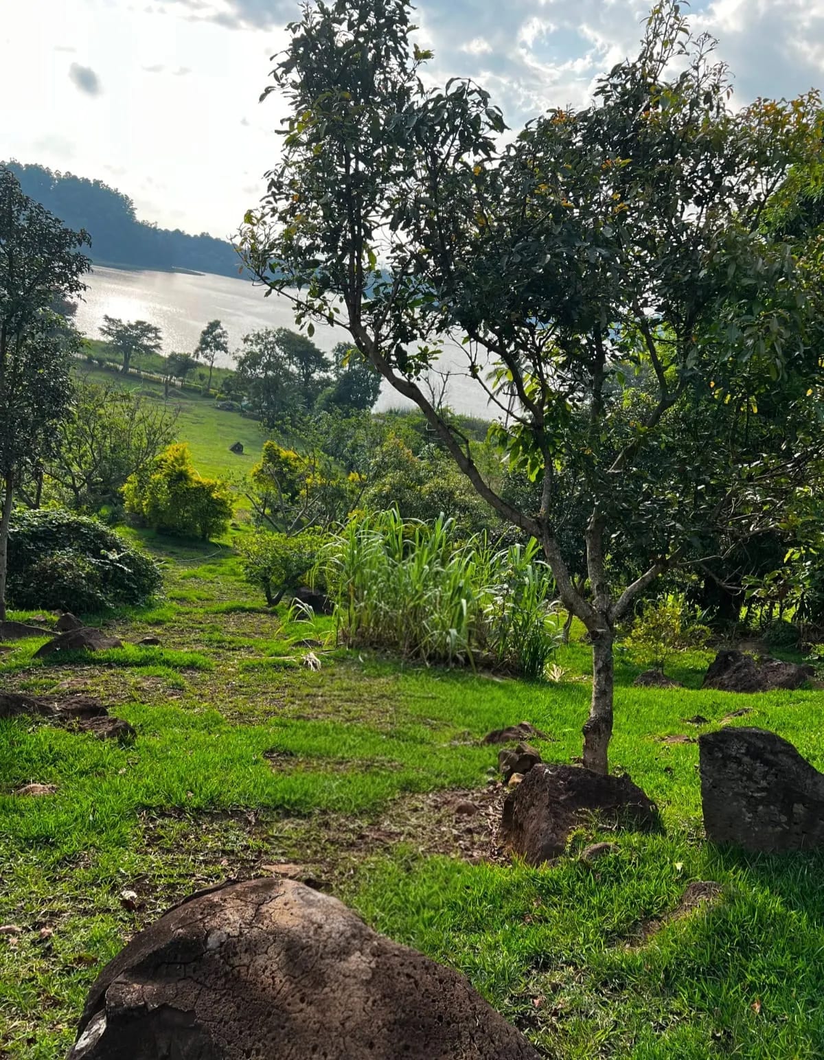Terreno en Laguna del Pino, Santa Rosa — Terreno en Venta en Barberena, Santa Rosa — foto 5 de 5