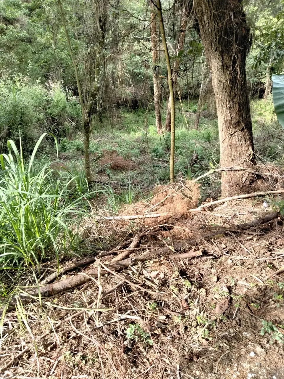 Terreno en Km 16 Carretera a El Salvador — Terreno en Venta en Carretera a El Salvador, Guatemala, Ciudad — foto 3 de 8