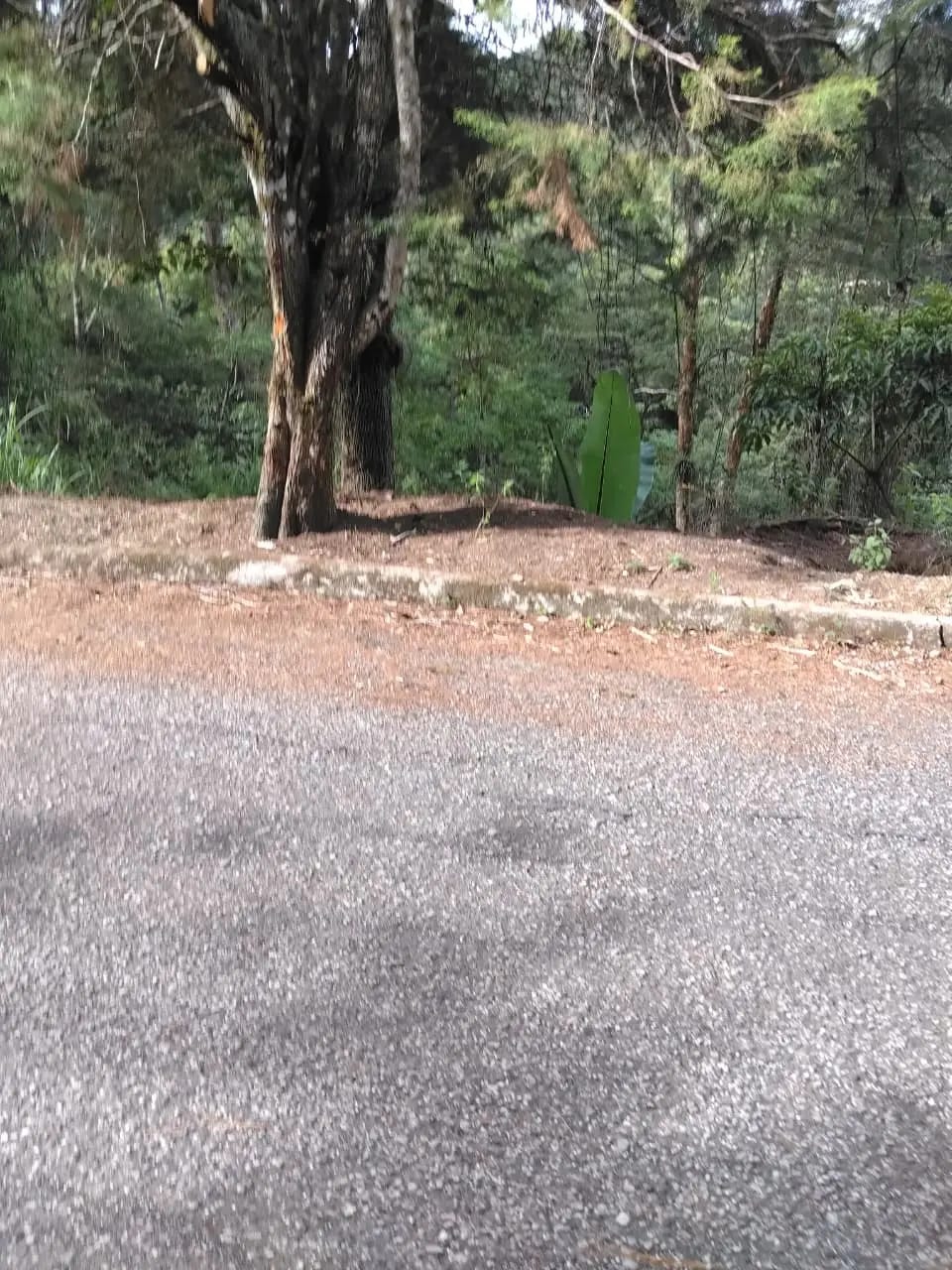 Terreno en Km 16 Carretera a El Salvador — Terreno en Venta en Carretera a El Salvador, Guatemala, Ciudad — foto 6 de 8