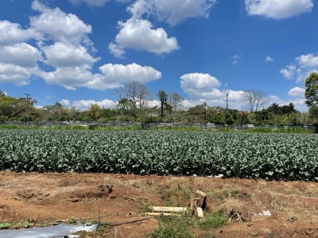 Terreno en Km 42 San Raymundo — Terreno en Alquiler en Sumpango, Sacatepéquez — foto 1 de 3