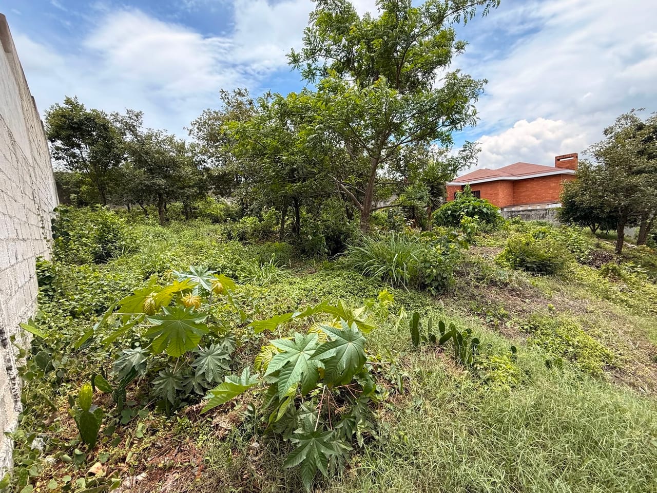 En Venta Aplio Terreno de 1520 Varas en Sector A6 Ciudad San Cristobal — Terreno en Venta en Zona 8 Mixco, Guatemala, Ciudad — foto 3 de 7