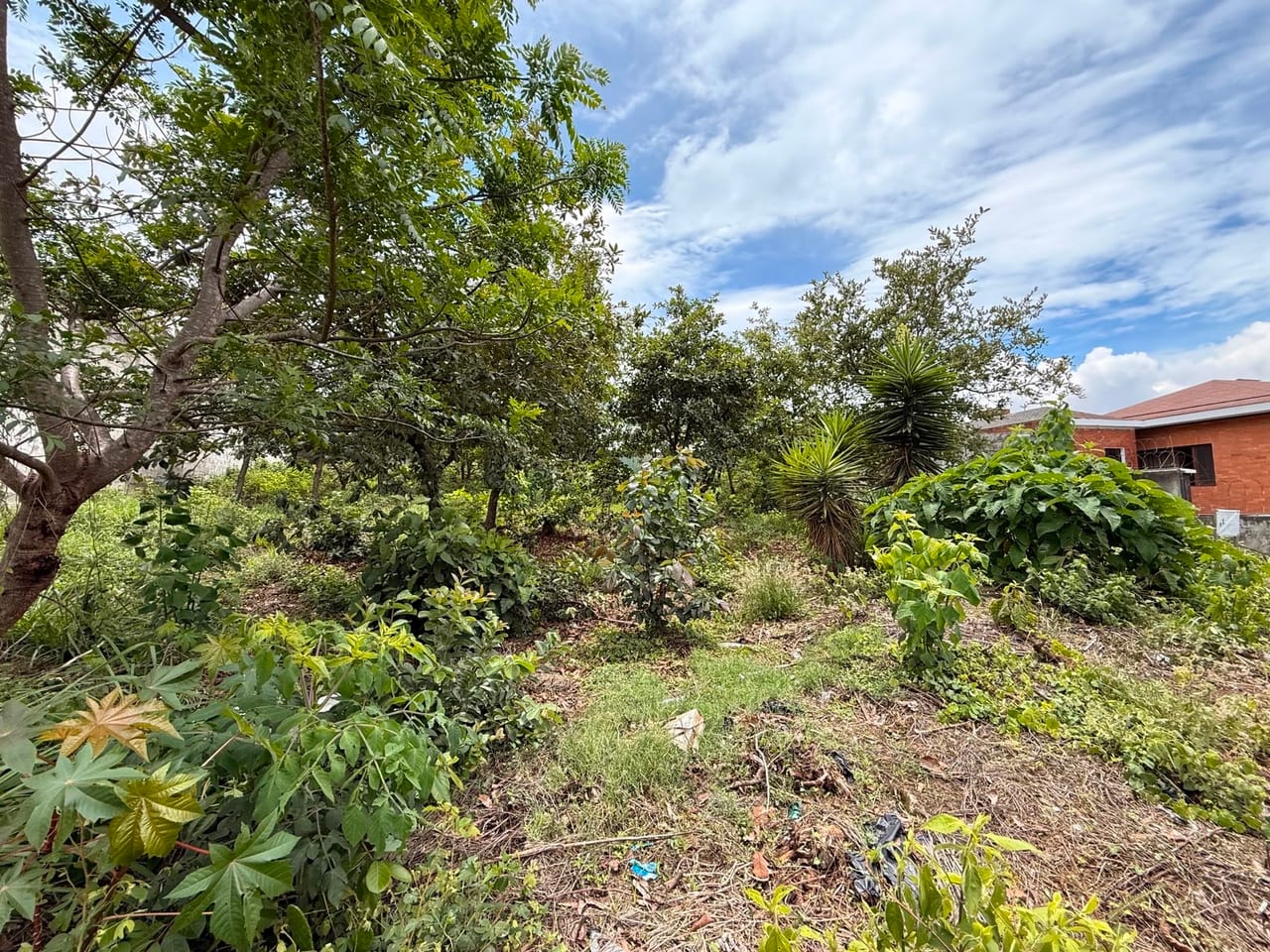 En Venta Aplio Terreno de 1520 Varas en Sector A6 Ciudad San Cristobal — Terreno en Venta en Zona 8 Mixco, Guatemala, Ciudad — foto 4 de 7
