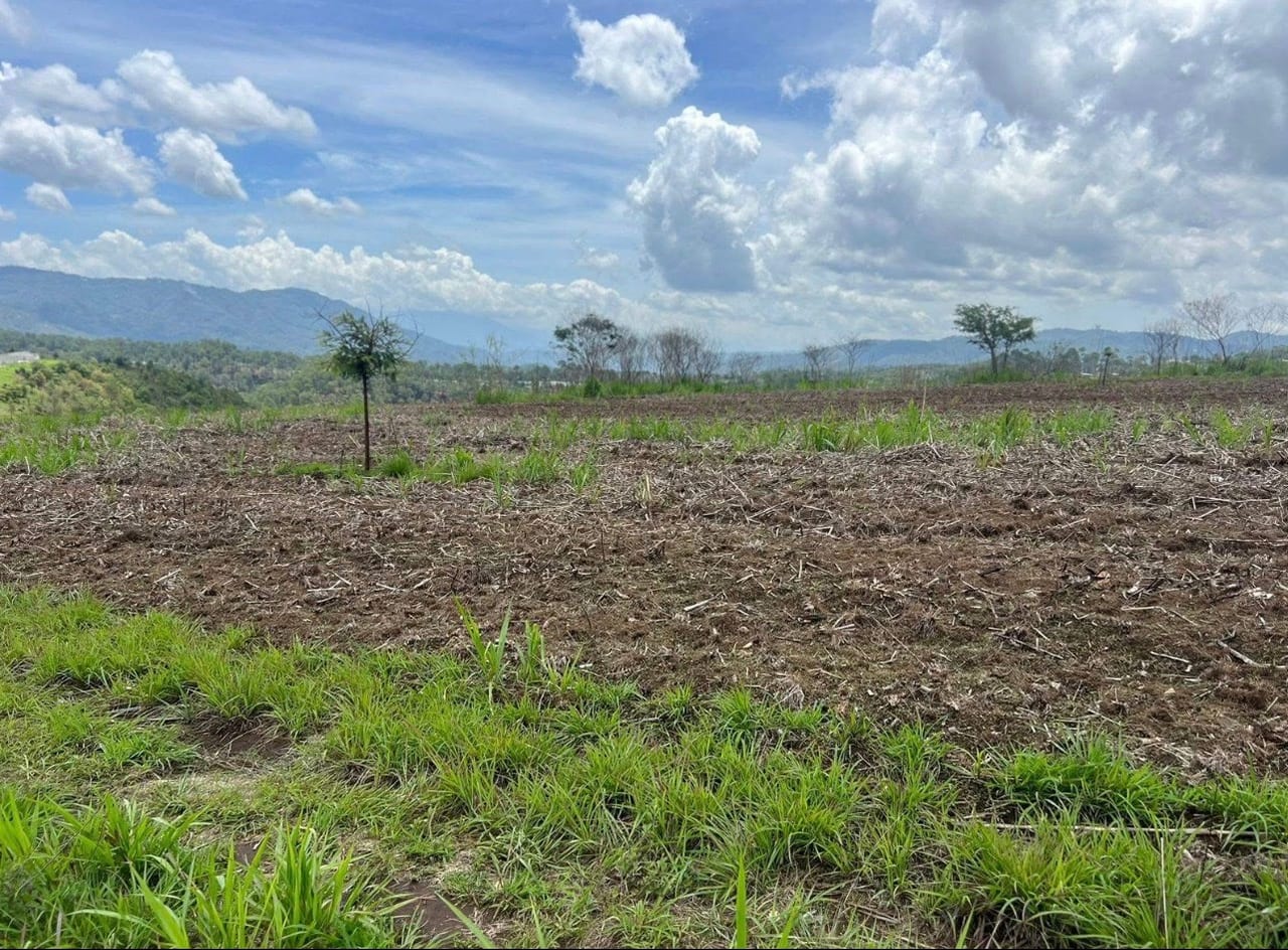 Oprtunidad de Inversión 65 Manzanas en Chimaltenango Sobre Carretera Asfaltada a Sumpango — Finca en Venta en San Martín Jilotepeque, Chimaltenango — foto 1 de 4