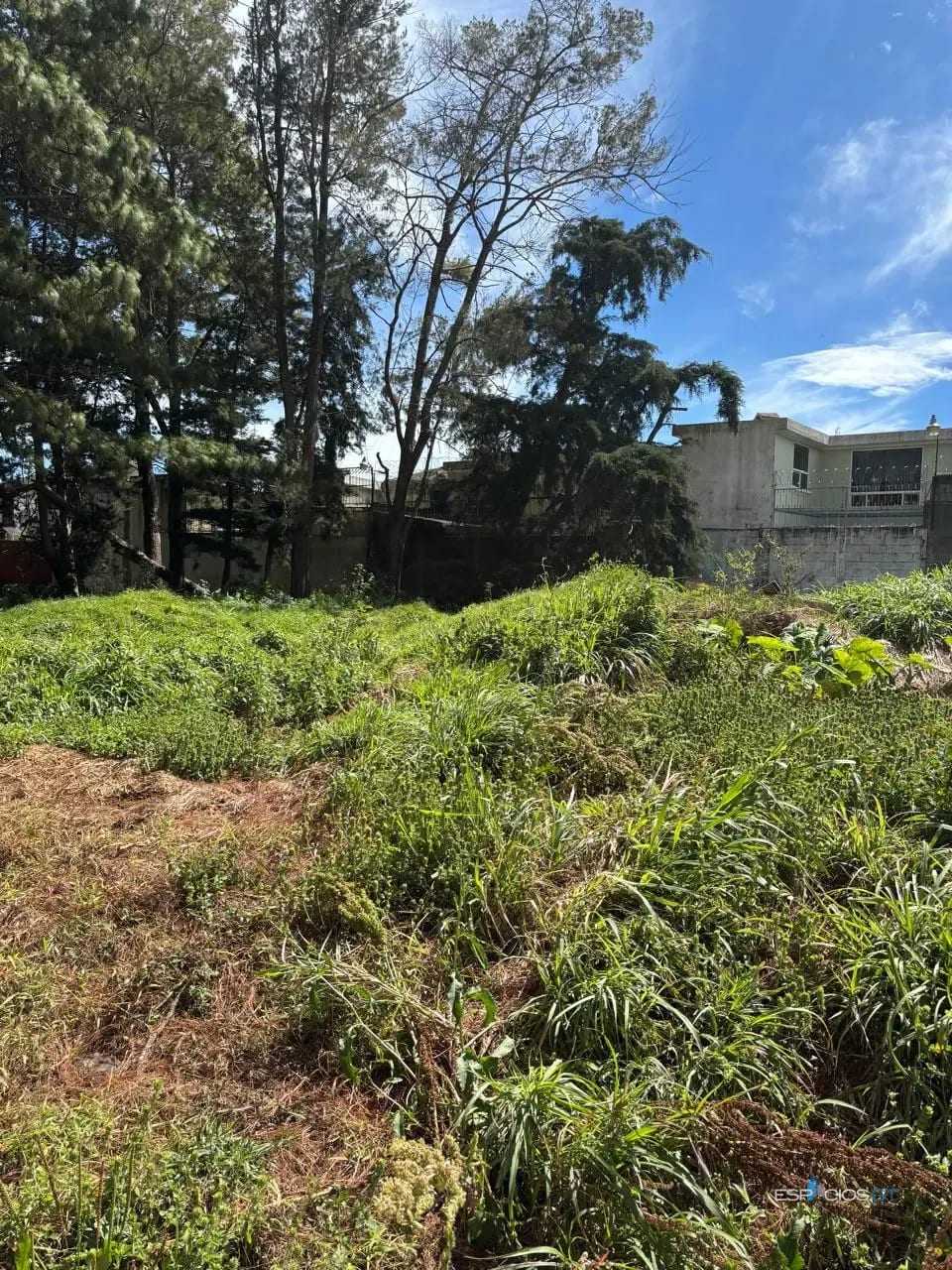 Terreno en Don Justo Arrazola, km 16.5 CAES $73,000 — Terreno en Venta en Carretera a El Salvador, Guatemala, Ciudad — foto 3 de 4