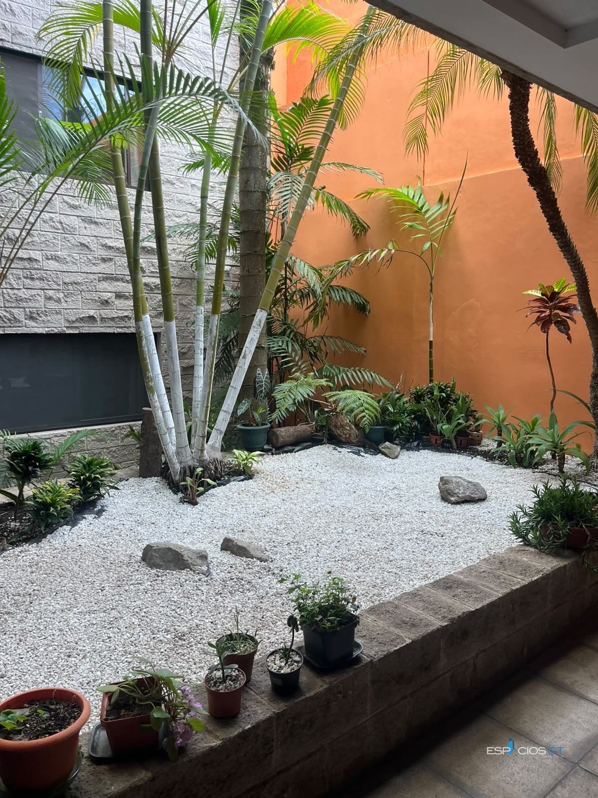 Apartamento en renta cerca hospital el pilar con jardín — Apartamento en Alquiler en Zona 15, Guatemala, Ciudad — foto 2 de 7