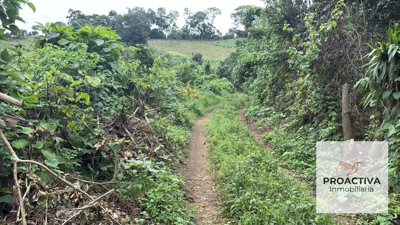 Patzicia Se Vende Finca Kilómetro 76 Camino Acatenango! — Terreno en Venta en Acatenango, Chimaltenango — foto 3 de 3