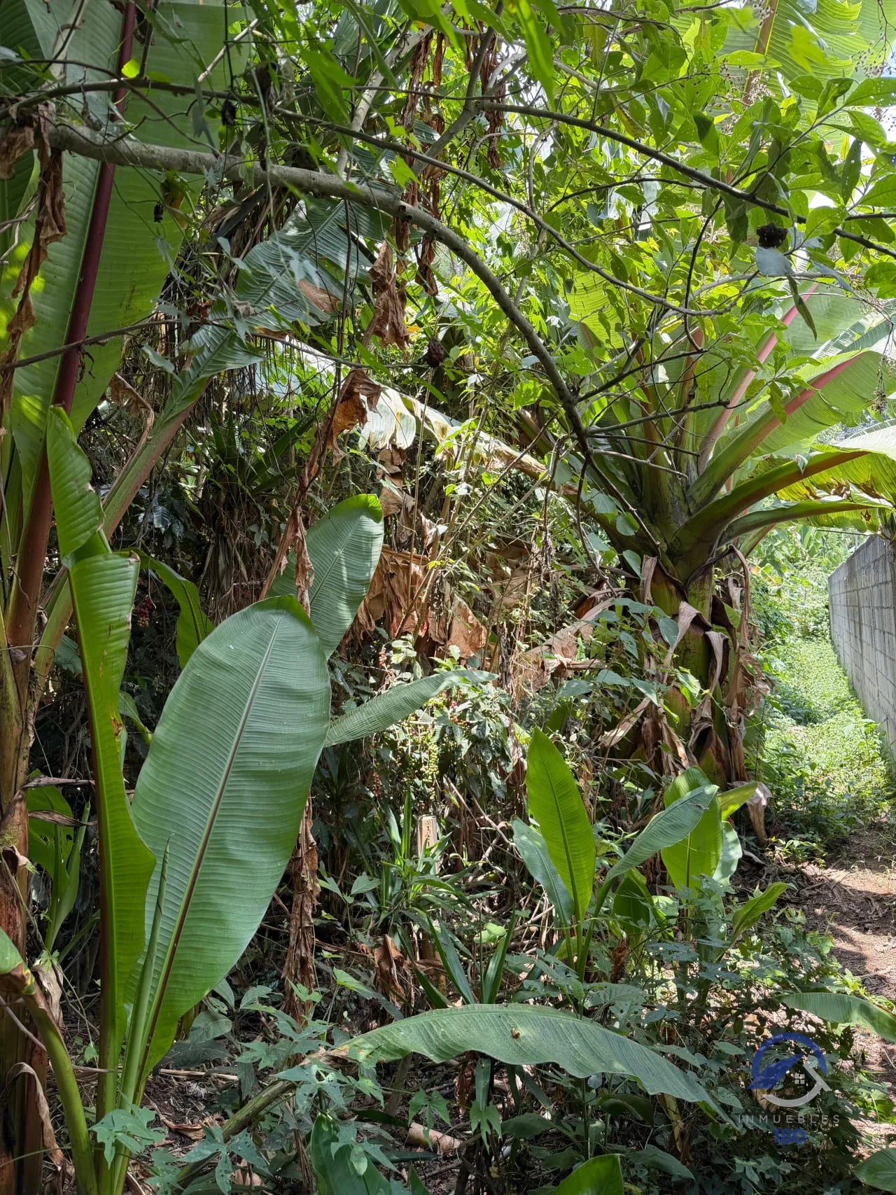 Amplio terreno en renta en San José Pinula, km. 20, sobre la RN-18 — Terreno en Alquiler en San José Pinula, Guatemala, Ciudad — foto 6 de 16