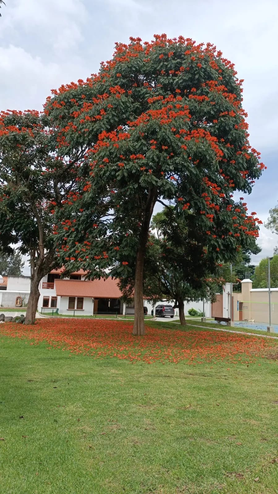 Renta de casas en Villas de Duero, San Pedro El Alto | Sacatepequez — Casa vacacional en Alquiler en Antigua, Sacatepéquez — foto 17 de 17