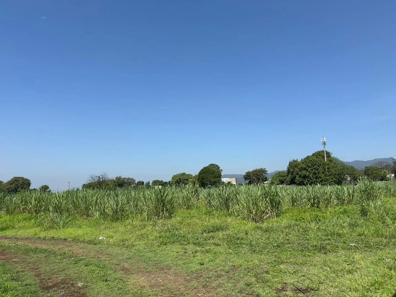 Terreno en venta en Escuintla ideal para desarrollo - totalmente plano — Terreno en Venta en Escuintla, Escuintla — foto 1 de 5