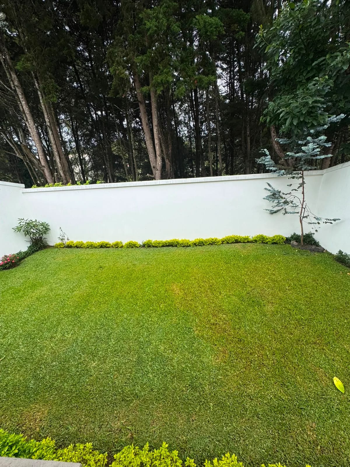 Casa remodelada en venta en el Km.16.5 de Carretera al Salvador — Casa en Venta en San Antonio, Carretera a El Salvador, Guatemala, Ciudad — foto 9 de 17