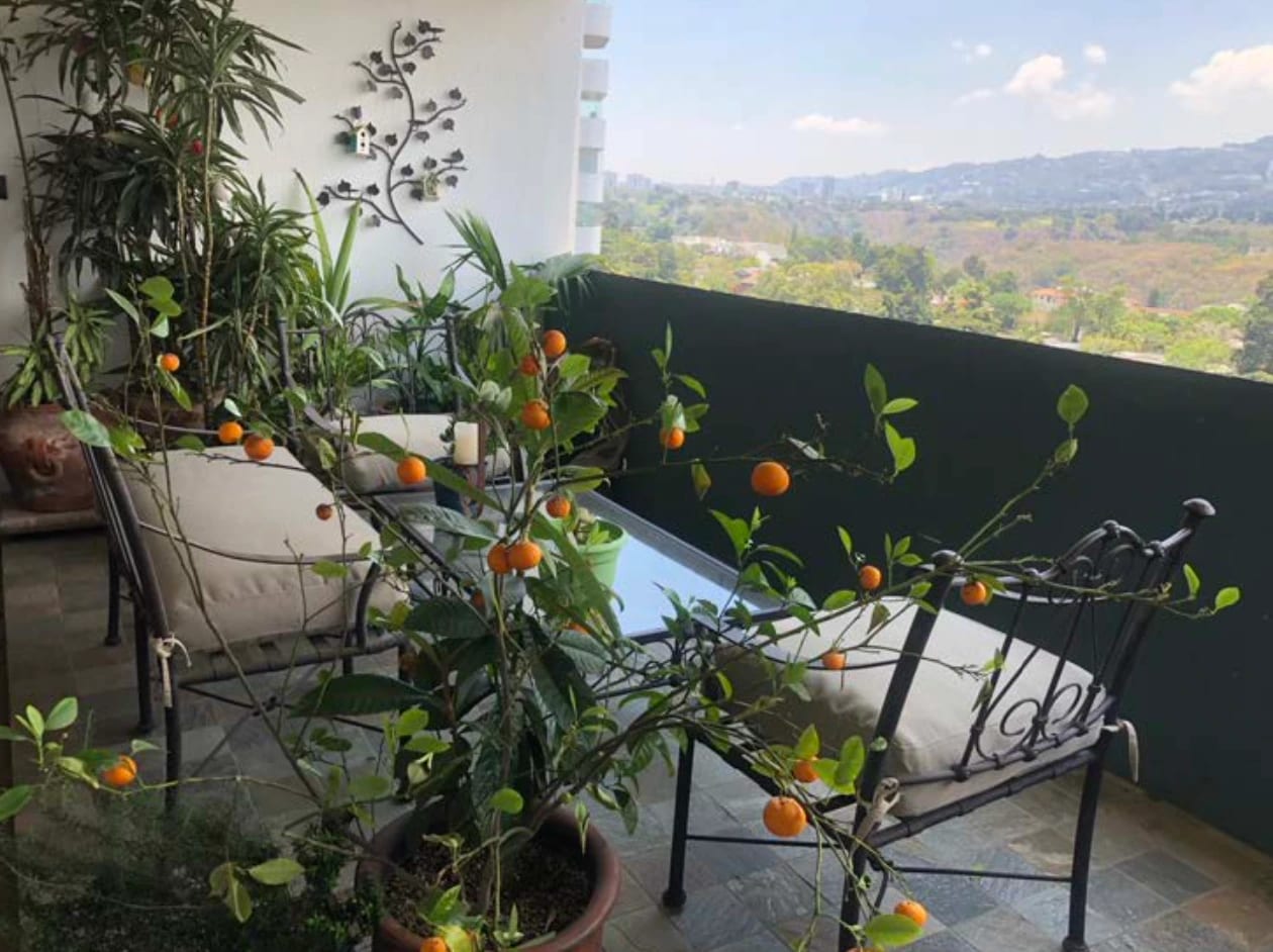 Apartamento Amueblado de lujo en zona 14 — Apartamento en Alquiler en Zona 14, Guatemala, Ciudad — foto 6 de 13