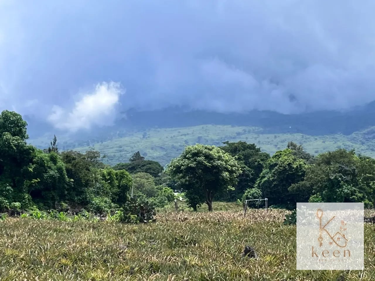 Terrenos en Venta Aldea los Llanos Villa Canales — Terreno en Venta en Santa Elena Barillas, Guatemala, Ciudad — foto 2 de 9