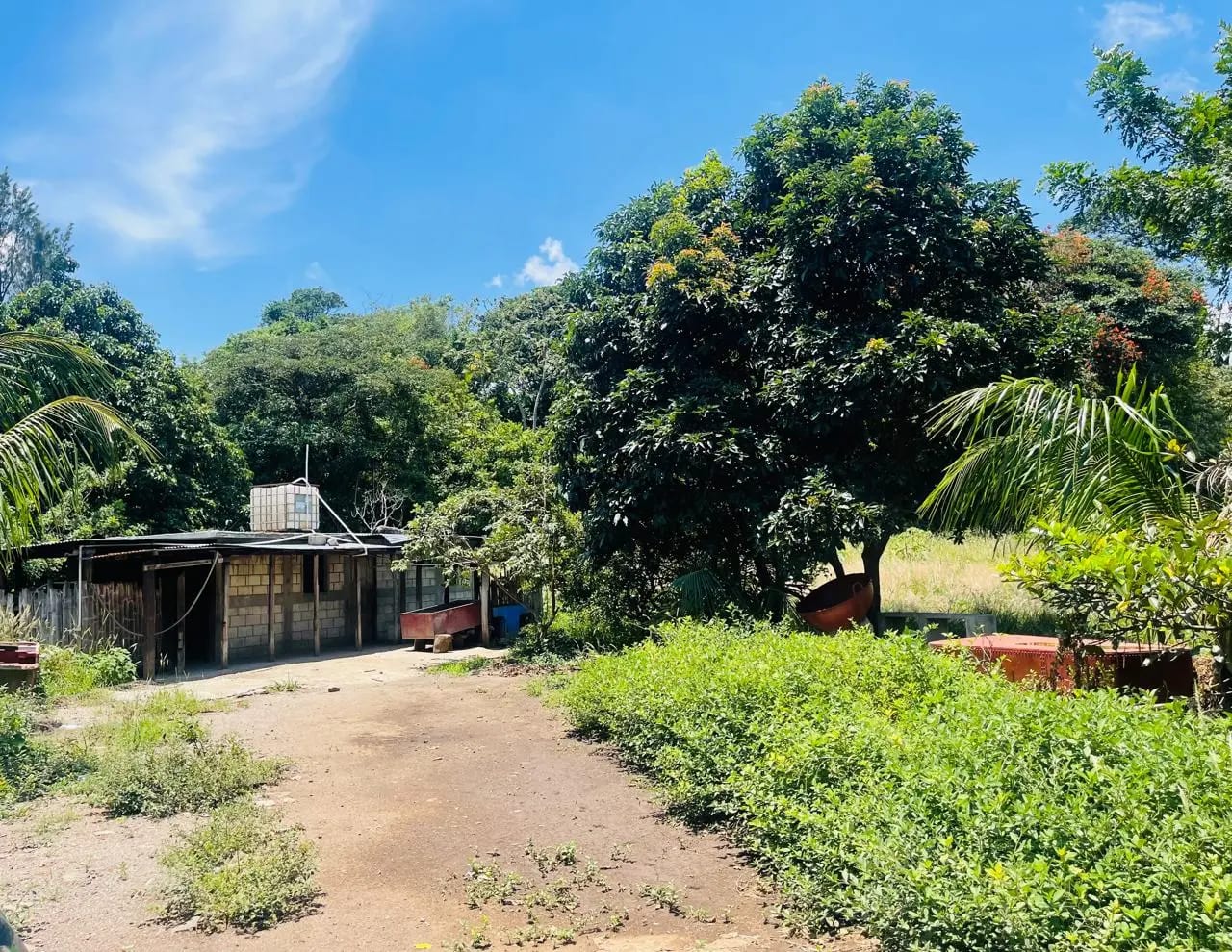 Venta de terreno o finca en Villa Canales El Jocotillo 43 manzanas se — Finca en Venta en Villa Canales, Guatemala, Ciudad — foto 7 de 8